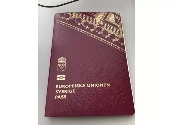 Original passport for sale online